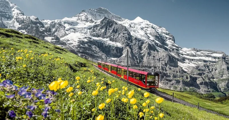 Guided Tour to Jungfraujoch, Top of Europe
